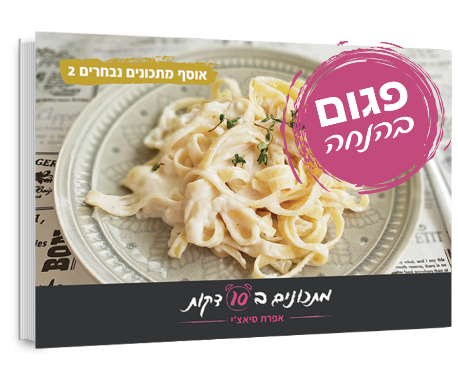 ספר מתכונים נבחרים2 פגום