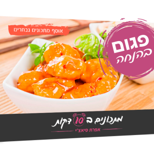 ספר מתכונים נבחרים פגום