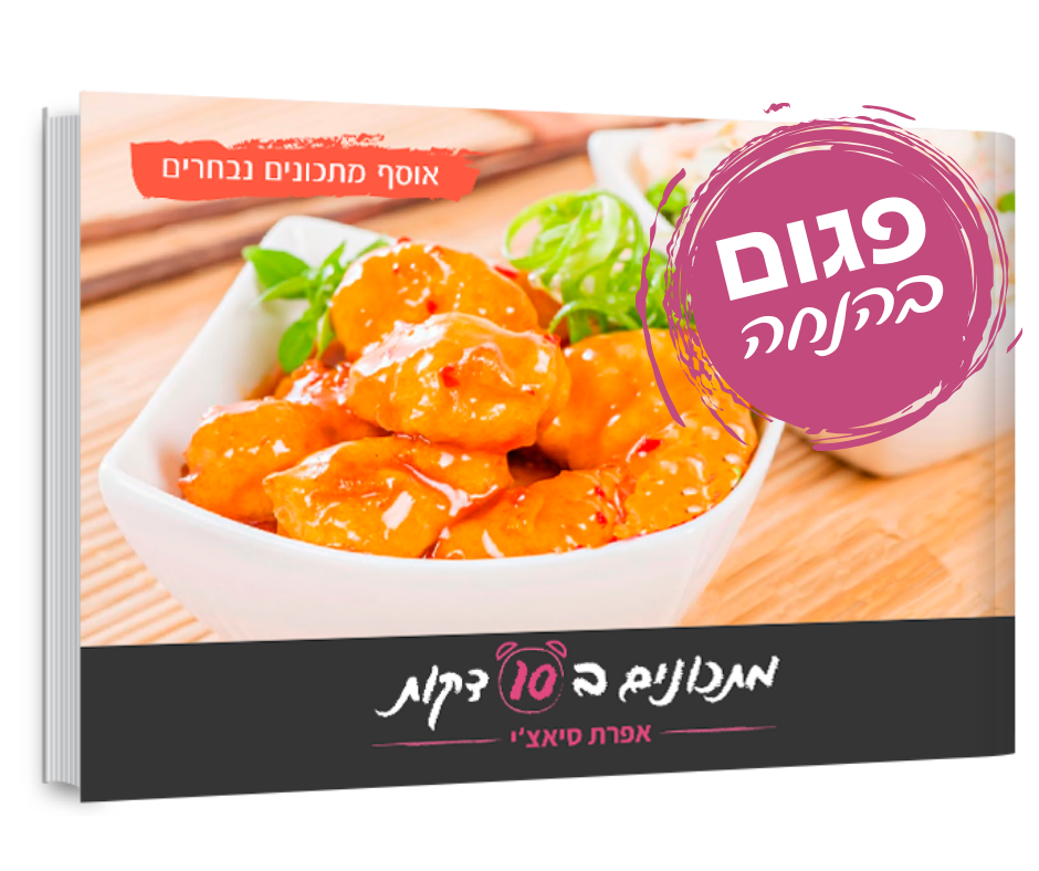 ספר מתכונים נבחרים פגום