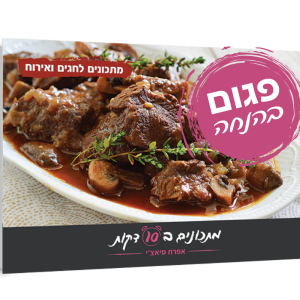 ספר מתכונים לחגים פגום