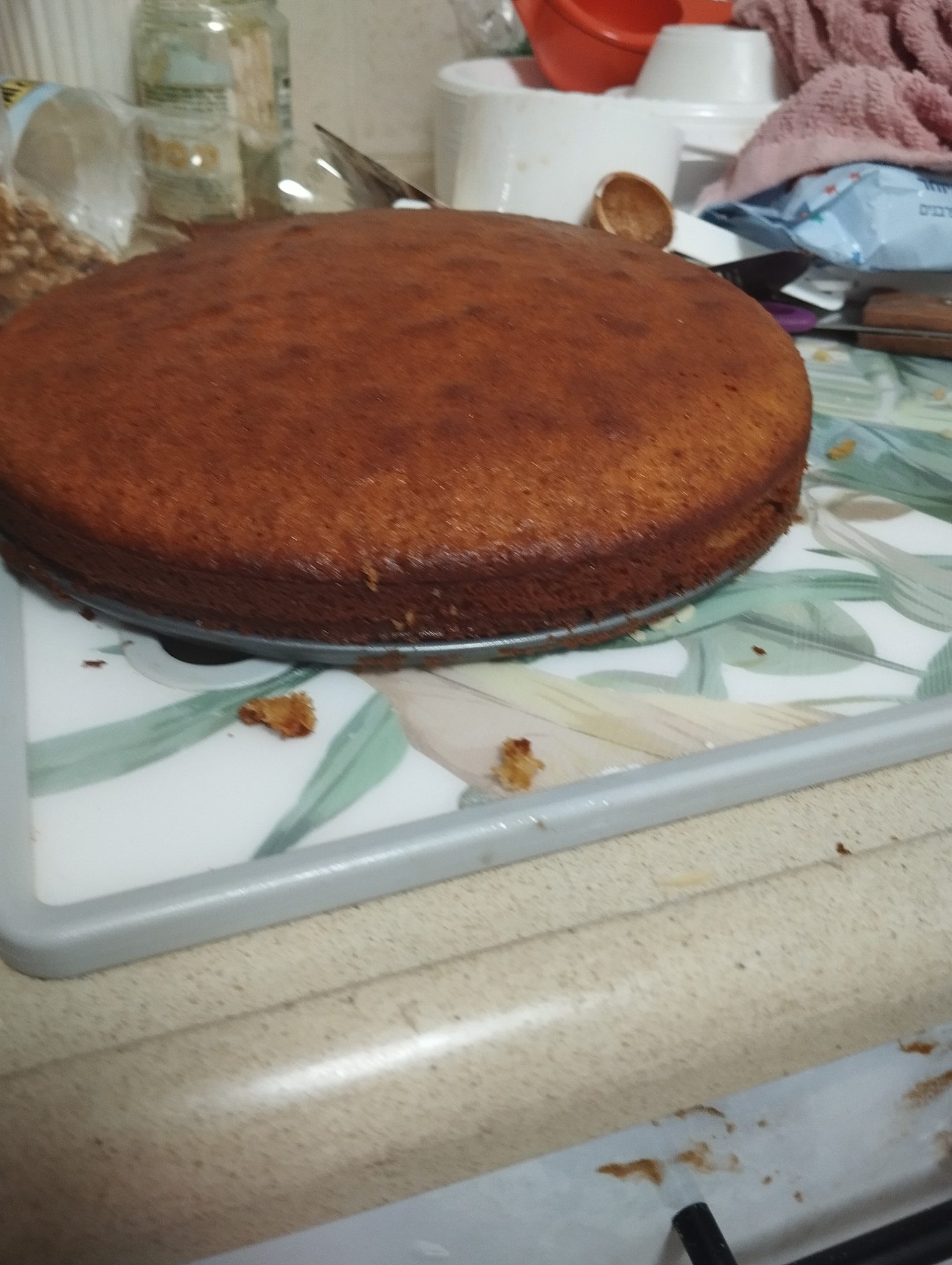 עוגת תפוזים ודבש