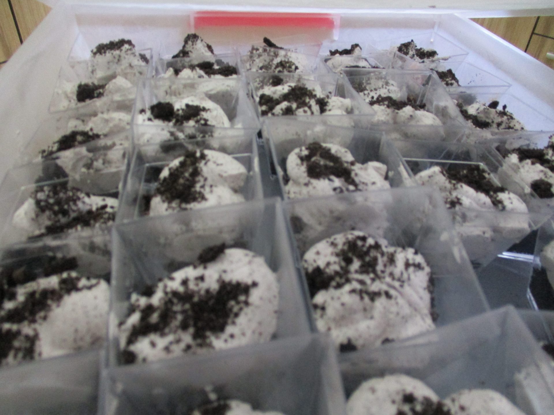 איך מכינים קצפת?