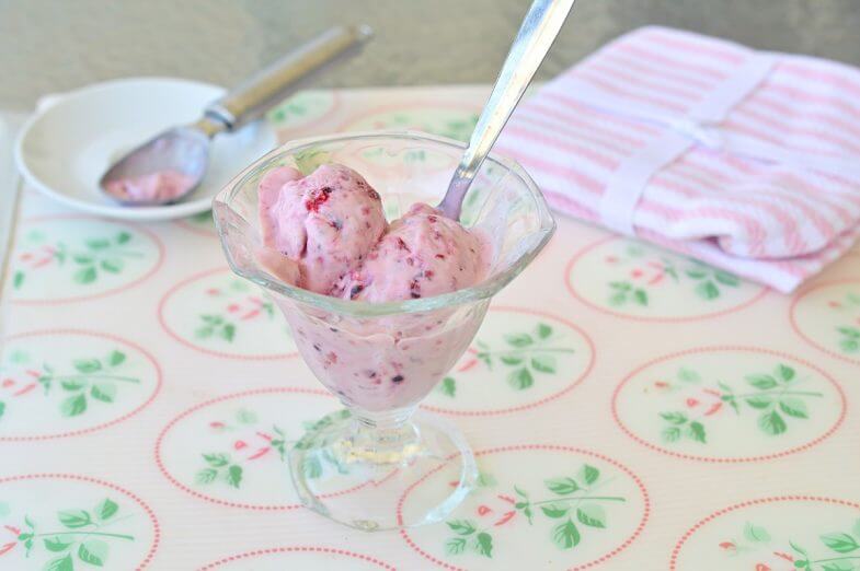 גלידת פירות יער