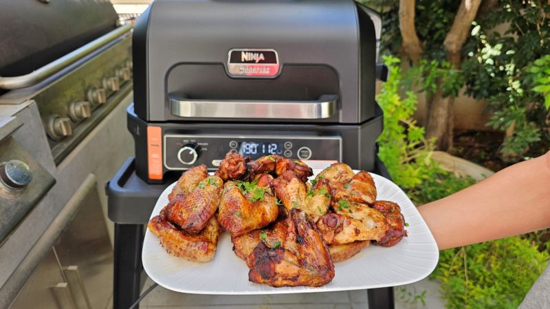 כנפיים בנינג'ה