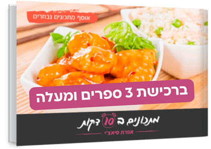 אוסף מתכונים נבחרים
